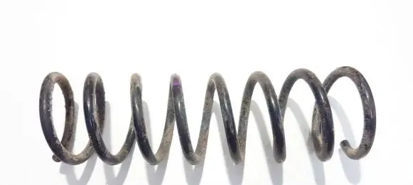 Ford C-MAX II Rear coil spring