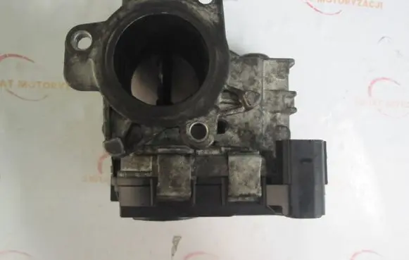Throttle body valve