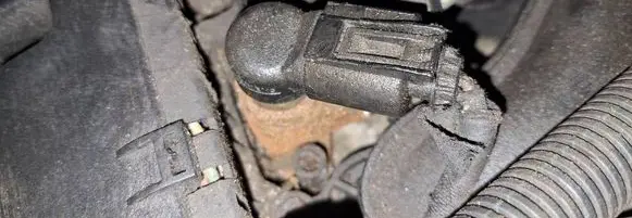 Peugeot Expert Fuel injector 9659337980