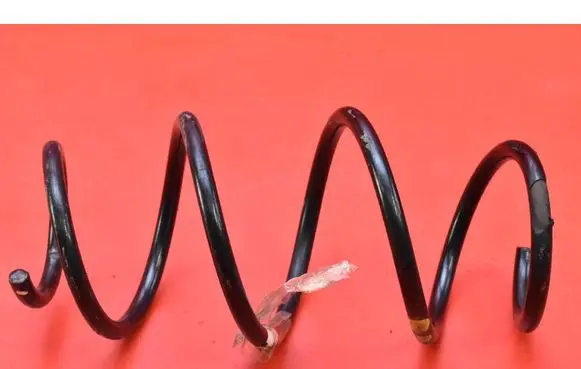 Rear coil spring