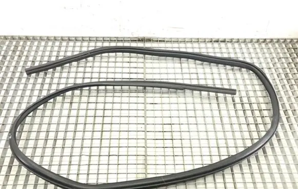 Peugeot 4008 Rubber seal front door (on door) 