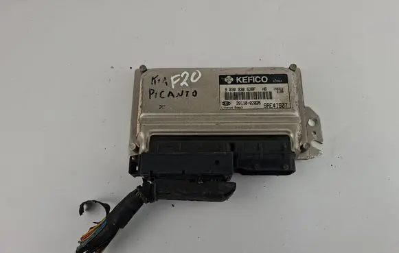 KIA Picanto Engine control unit/module 3911002025