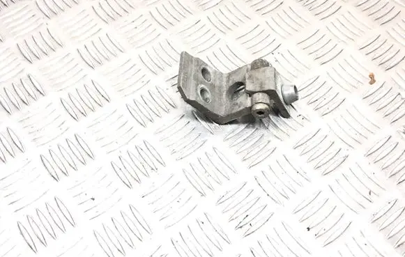 Peugeot 206 Front door lower hinge 