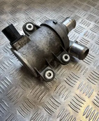 Ford Kuga III Water pump 359641200
