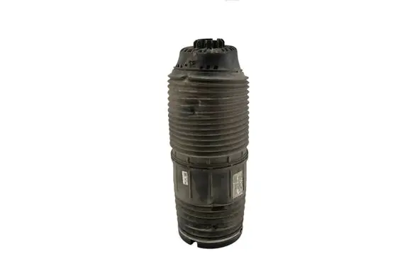 Porsche Panamera (971) Shock absorber/damper/air suspension 971616025E