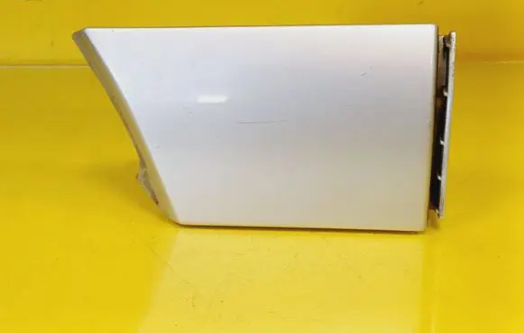 Rear/tail light trim molding