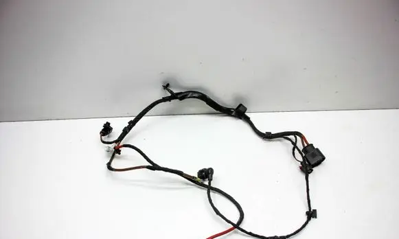 Other wiring loom