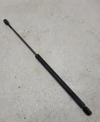 Tailgate/trunk strut/damper