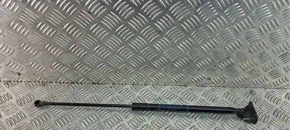 Toyota C-HR I Tailgate/trunk strut/damper 68950F4050