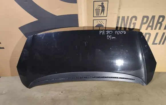 Peugeot 1007 Engine bonnet/hood 