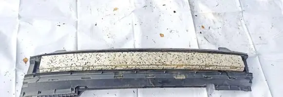 Rear beam
