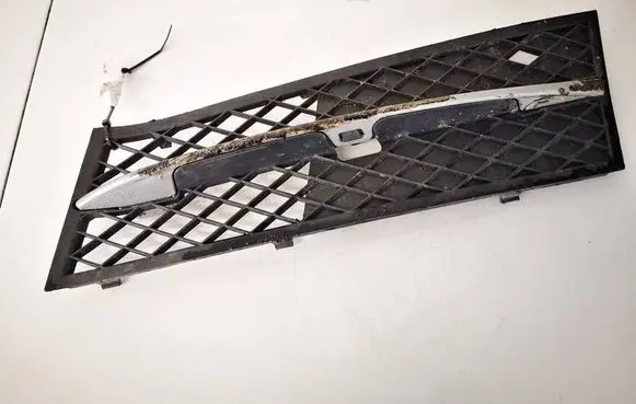BMW 5 F10 F11 Front bumper lower grill 51117200699 5111720069909