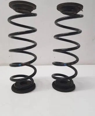 Rear coil spring