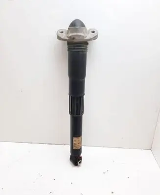 Volkswagen ID.4 Rear shock absorber/damper 1EA512013BD