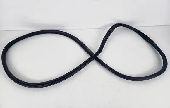 BMW 3 F30 F35 F31 Rubber seal rear door 7318511