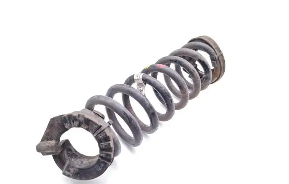 Rear coil spring
