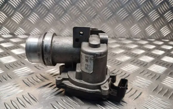 Renault Megane III Throttle valve 8200614985 133106973