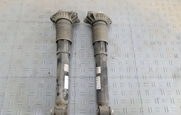 BMW 5 F10 F11 Rear shock absorber/damper 314876 36G89A 814904008091