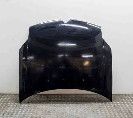 Citroen C6 Engine bonnet/hood 790143