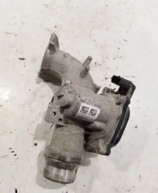 Renault Megane III Throttle valve 8200614985