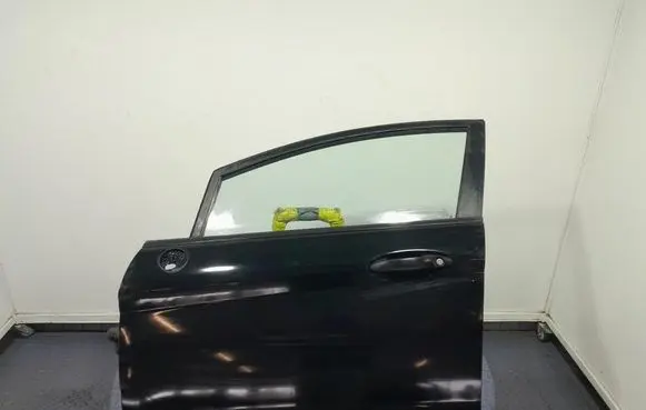 Ford Fiesta Front door 