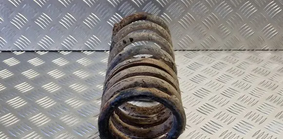 KIA Carnival Rear coil spring