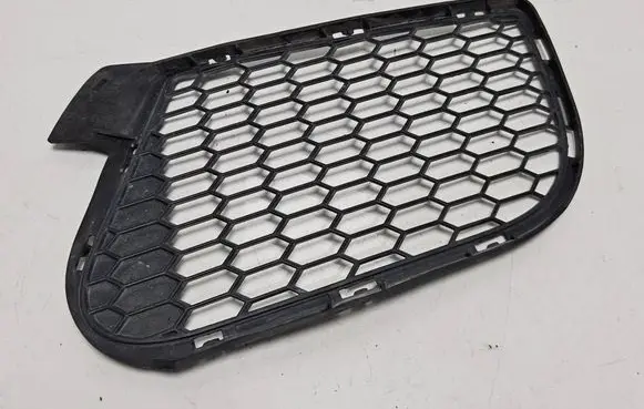 BMW X6 M Front bumper lower grill 7205578