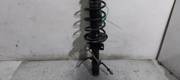 Seat Ibiza IV (6J,6P) Front shock absorber/damper 6R0413031C