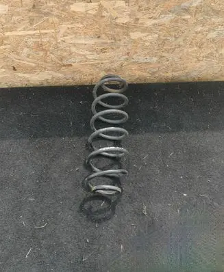 Rear coil spring