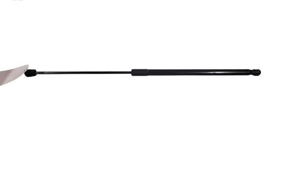 Tailgate strut