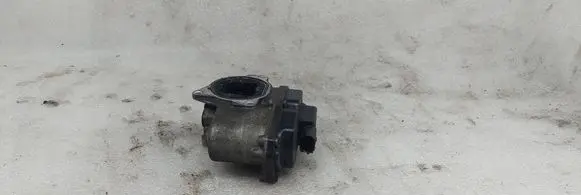EGR valve