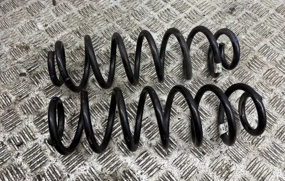 Rear coil spring