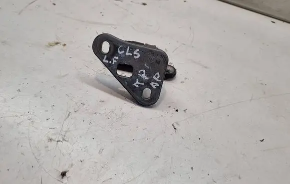 Mercedes-Benz CLS C219 Front door lower hinge
