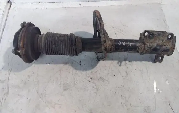 Chevrolet Epica Front shock absorber/damper