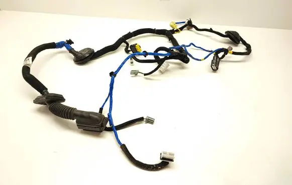Hyundai Ioniq Front door wiring loom