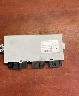 Immobilizer control unit/module