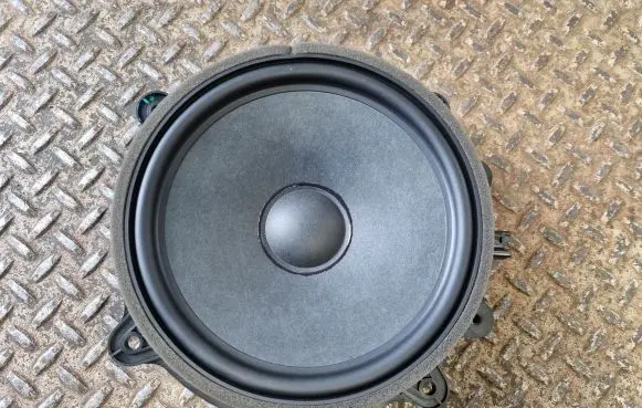 Tesla Model Y Front door speaker 107974400E