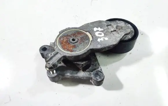 Peugeot 307 Generator/alternator belt tensioner 