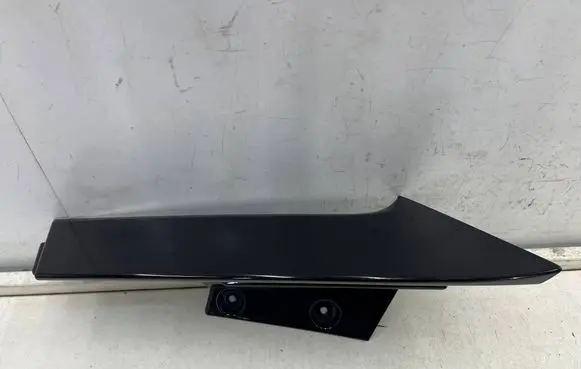 Rear/tail light trim molding