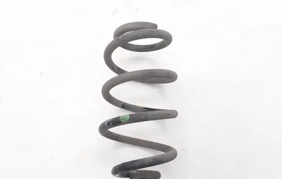 Renault Zoe Rear coil spring 550206834R