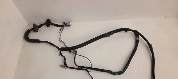 Front door wiring loom