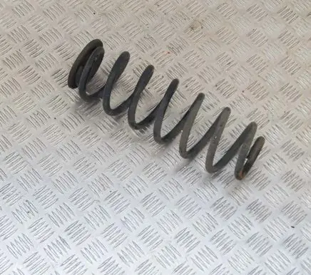 Volkswagen PASSAT B6 Rear coil spring