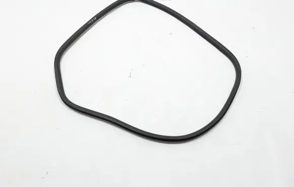 Renault Laguna III Rear door rubber seal (on body) 769230001R