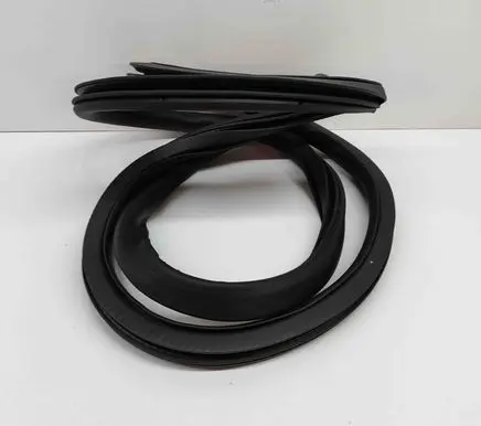 Ford Mustang Mach-E Rubber seal rear door LJ8BR253A10AA