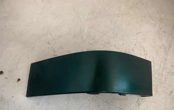 Rear/tail light trim molding