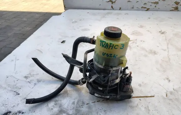 Renault Trafic III (X82) Power steering pump 491100616R