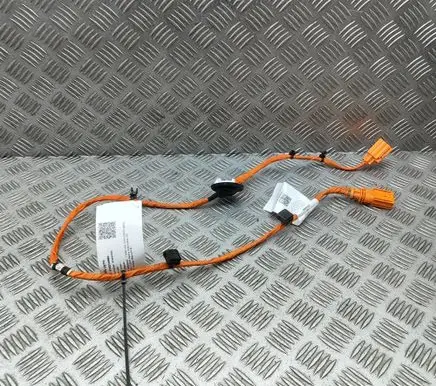 Ford Explorer EV Other wiring loom 1EA973802B 1EA971475F