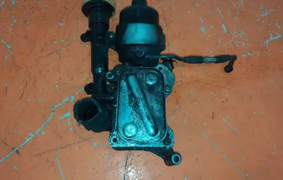 Fiat Punto (199) Engine oil radiator 55193743