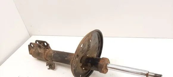 Toyota RAV 4 (XA20) Front shock absorber/damper