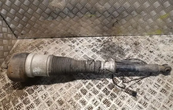 Rear shock absorber/damper
